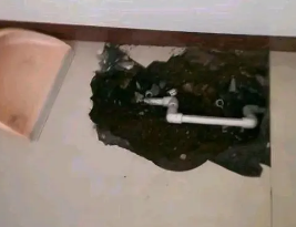 清河门卫生间测漏水多少钱